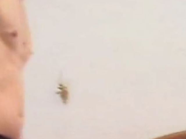 ������ ������� �������, � ����� � ��� �������� ���� ��� ����������� �����